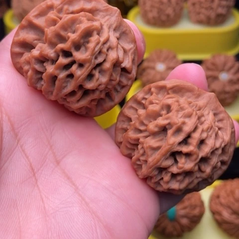 秦闷39全品1111111