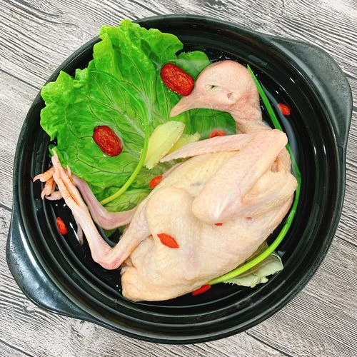 元宝鸽观赏鸽肉鸽鸽子草窝用品店