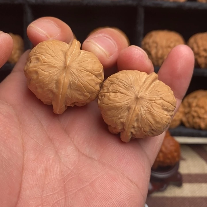 全品小众达摩34尺寸