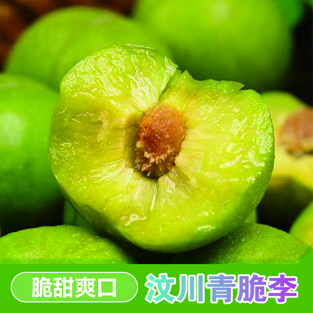 汶川高山四川脱骨李子新鲜现摘现发脆李子脆甜核小肉厚当季水果