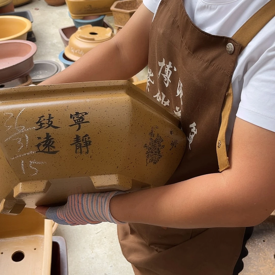 紫砂花盆盆景艺术