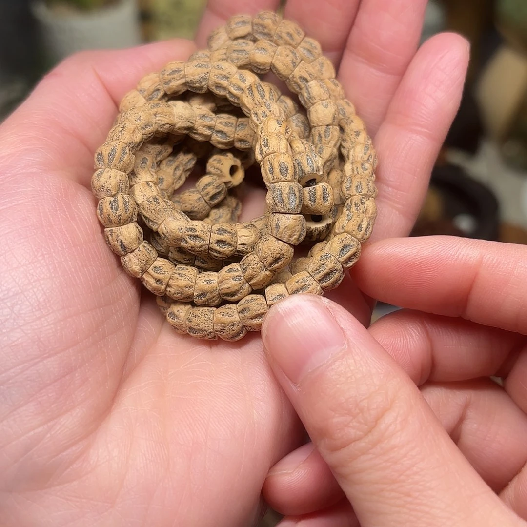 柏香籽/百香籽吊坠尸陀林串