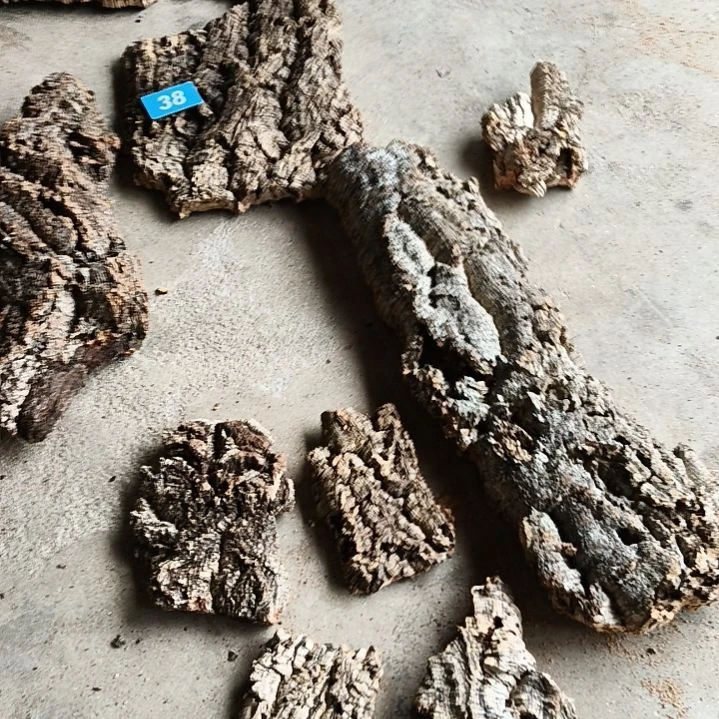 一物一拍一物一发