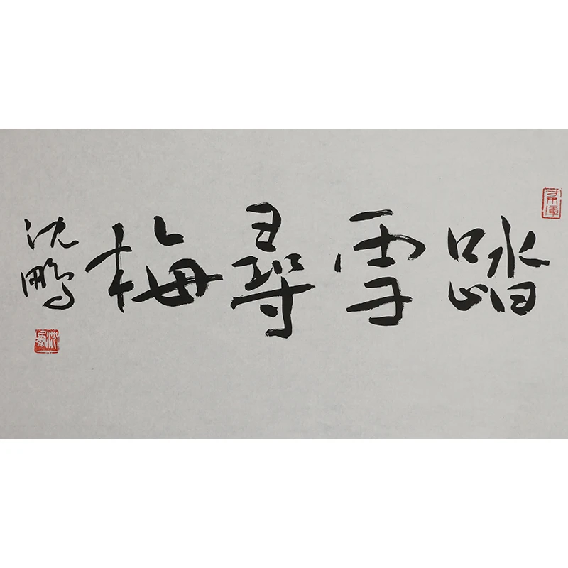 A566 沈鹏书法软片 43cm×69cm