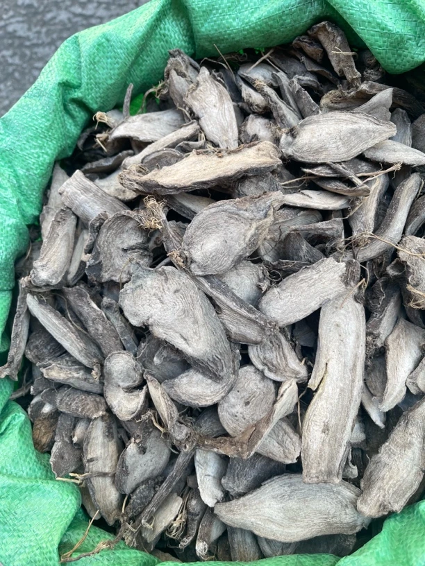 野生入地老鼠 钻地利花根 精选无硫