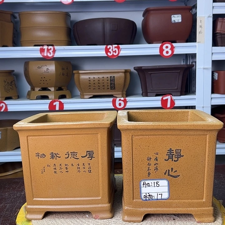 花盆紫砂你在一起