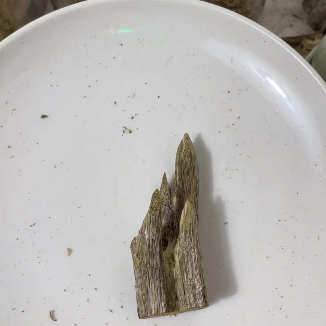 S***ediy多样性发一香薰料