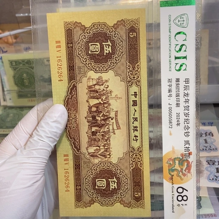 黄五264……………………………………