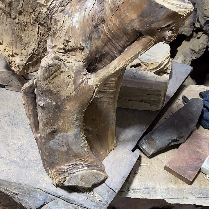 乌木类肥**石金丝楠木小叶