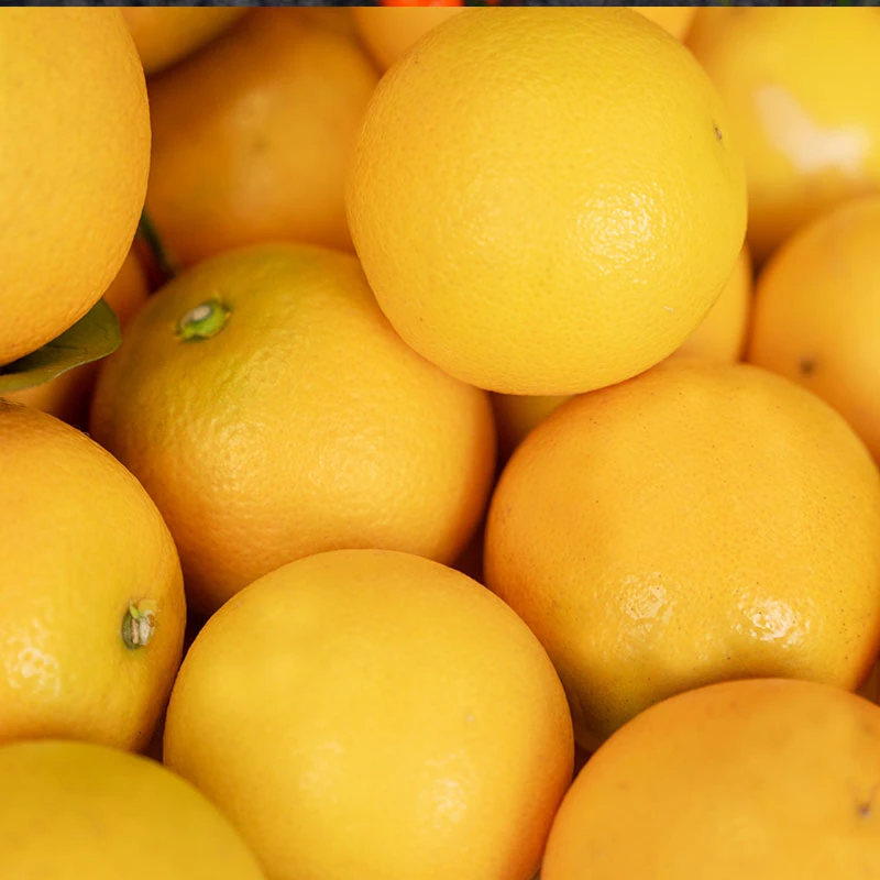 湖南麻阳冰糖橙纯甜无酸入口化渣带箱5斤