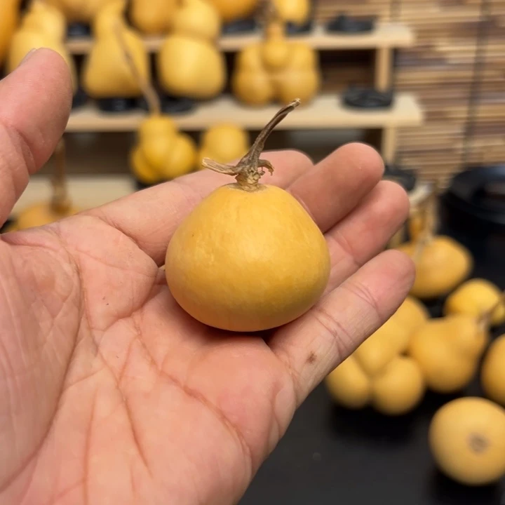 叫***了4666586666666669