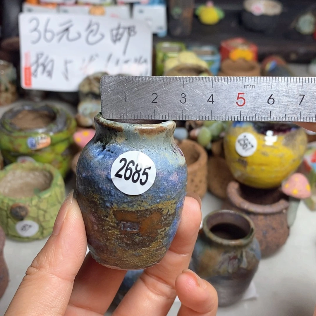 拍5送一个小礼物