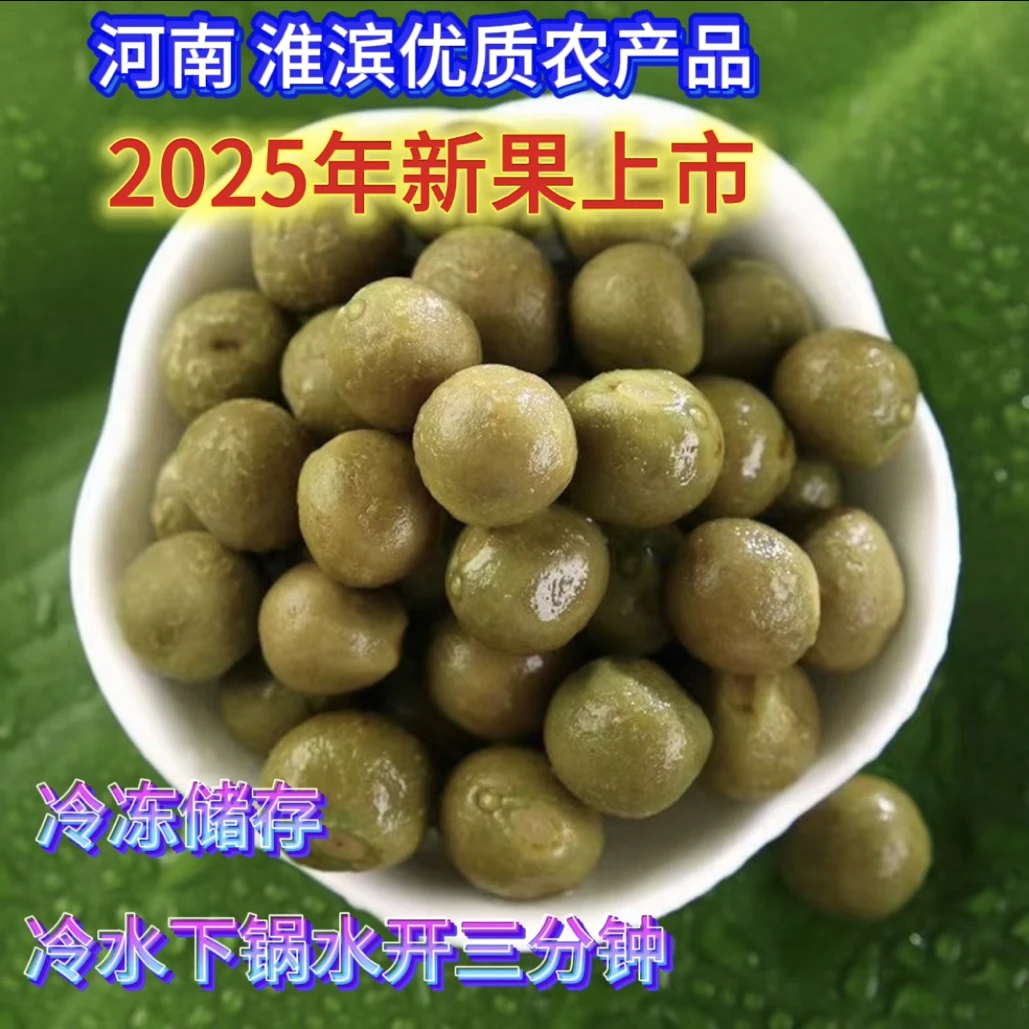 新鲜芡实鸡头籽带壳打磨一级中果（10到12毫米）