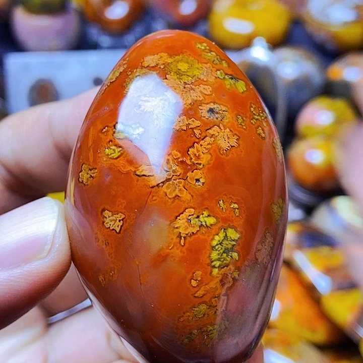 玛瑙/玉髓战国红玛瑙颈饰未镶嵌