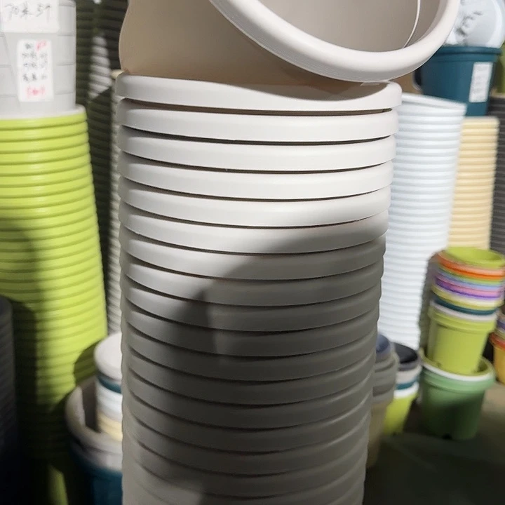 四季3号灰白无托10个特价