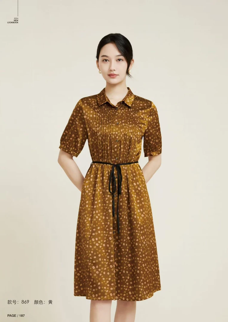 2025年新款869桑蚕丝高端连衣裙