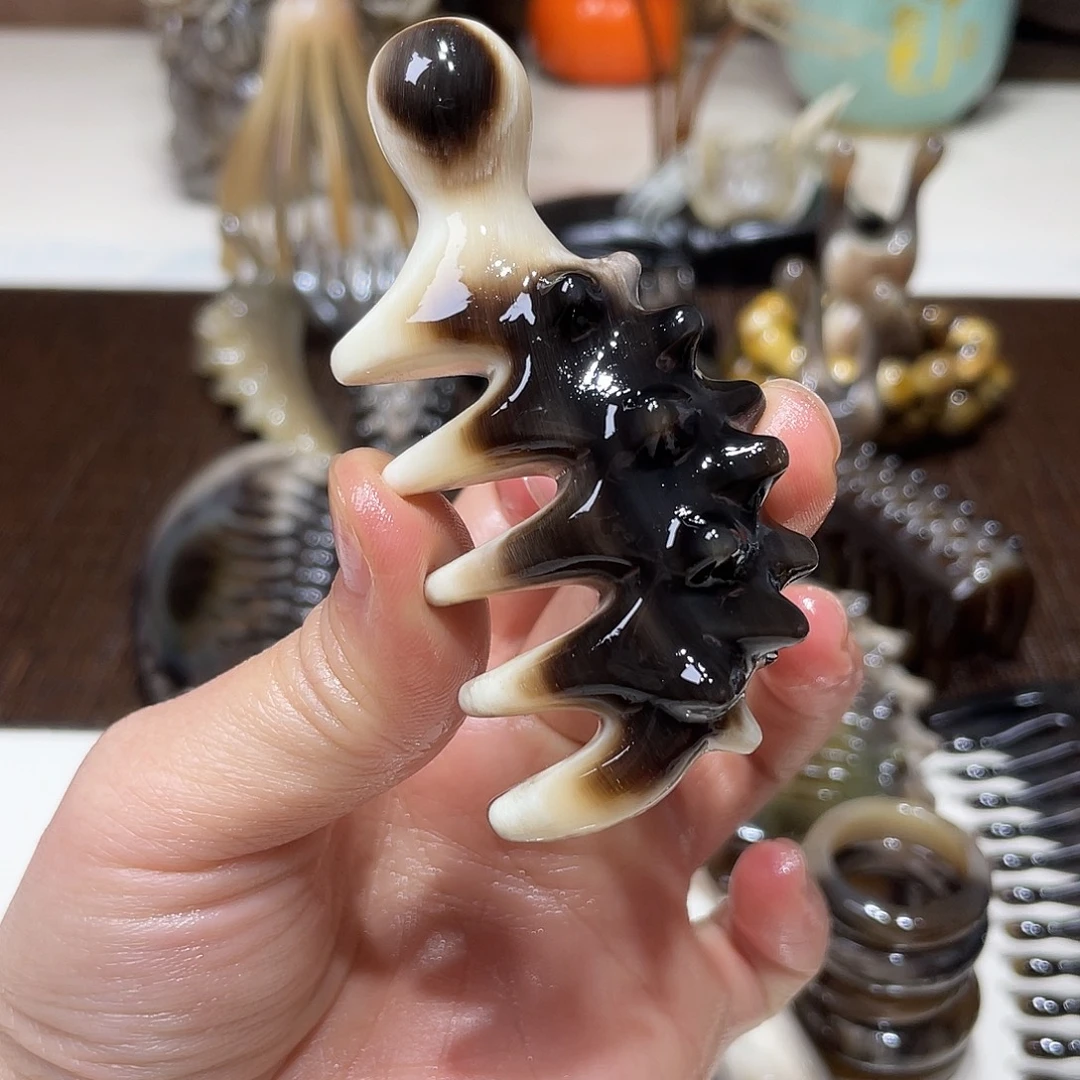黑金刚海参小刺猬