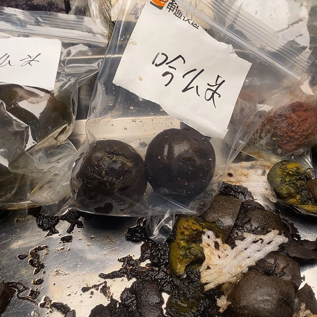 马***奇5555555555555555555555