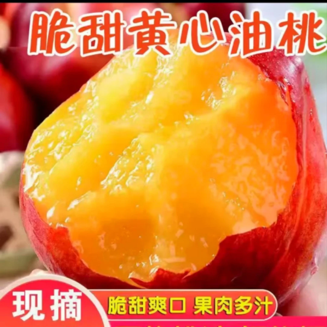 正宗山西黄心红油桃脆爽清甜汁水多新鲜采摘当季水果