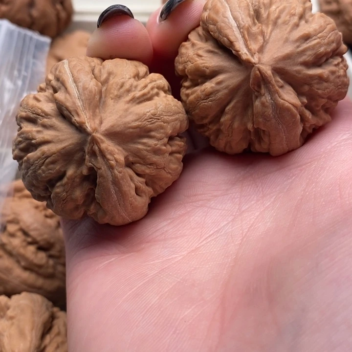 满***名霸王龙全品无修一刀没动