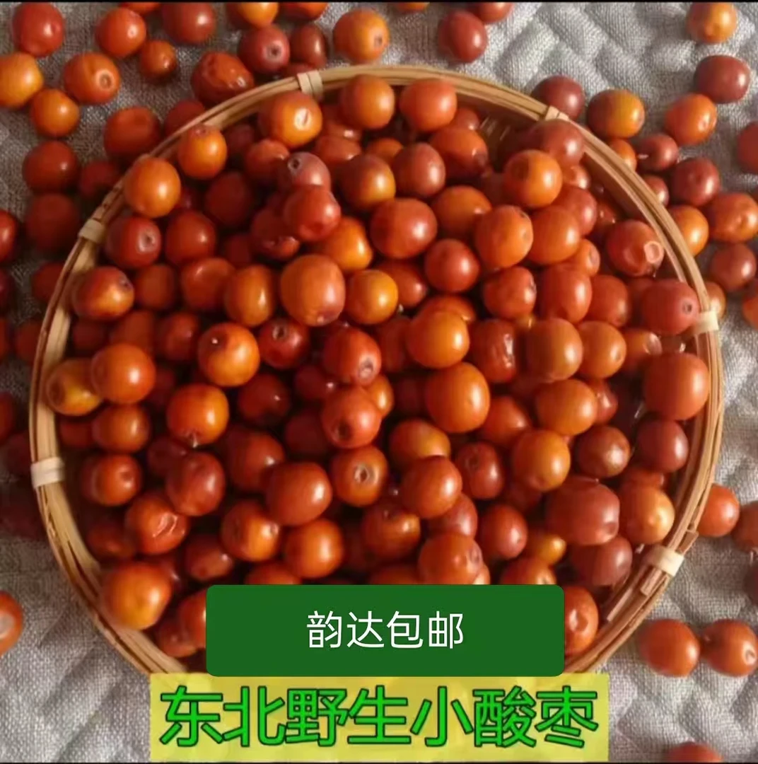 东北朝阳特产新鲜野生小酸枣核大孕妇零食原生态食品