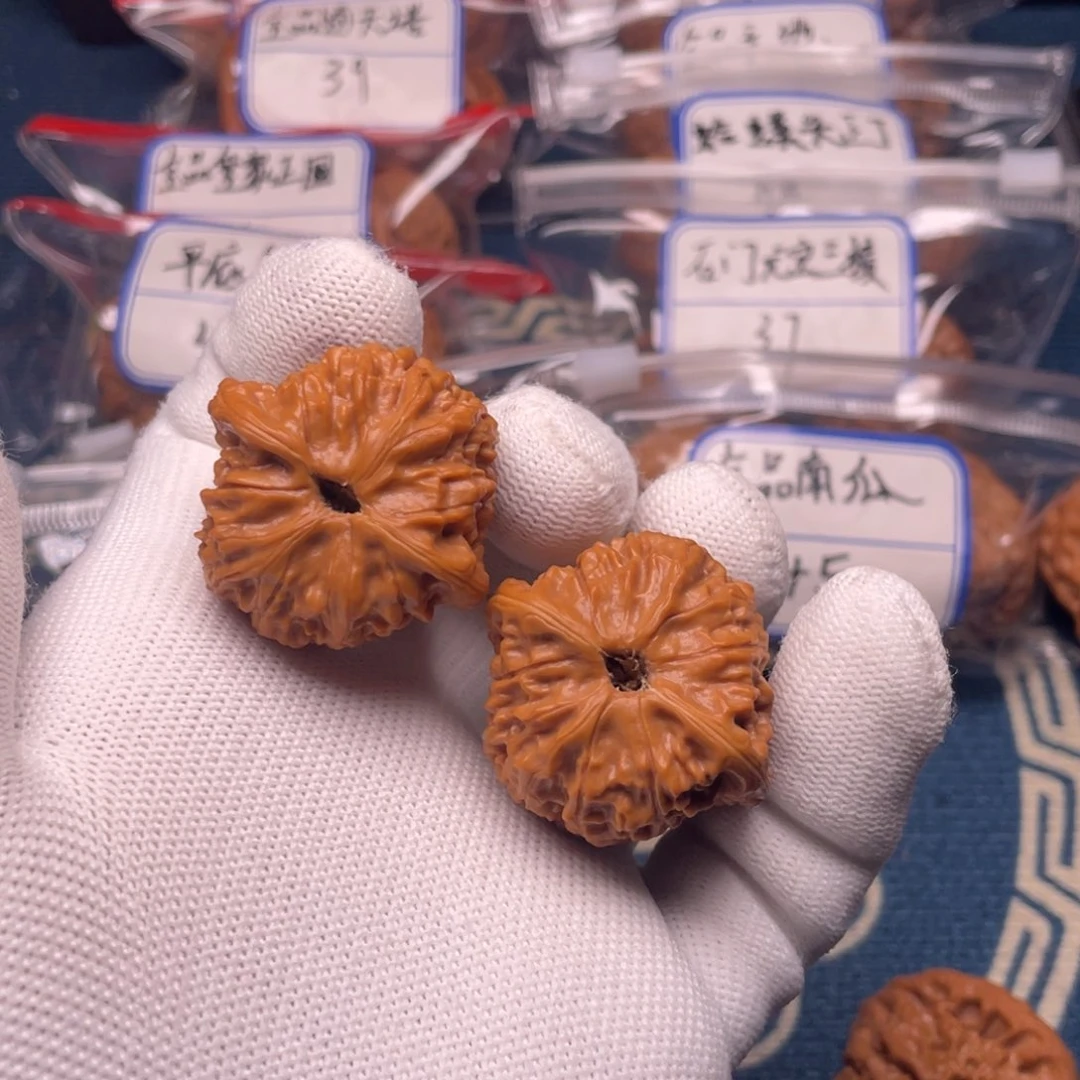 一*蛇王36！！！！！！！！