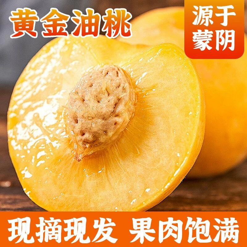 蒙阴蜜桃黄金油桃脆甜爽口新鲜当季水果现摘现发坏果包赔