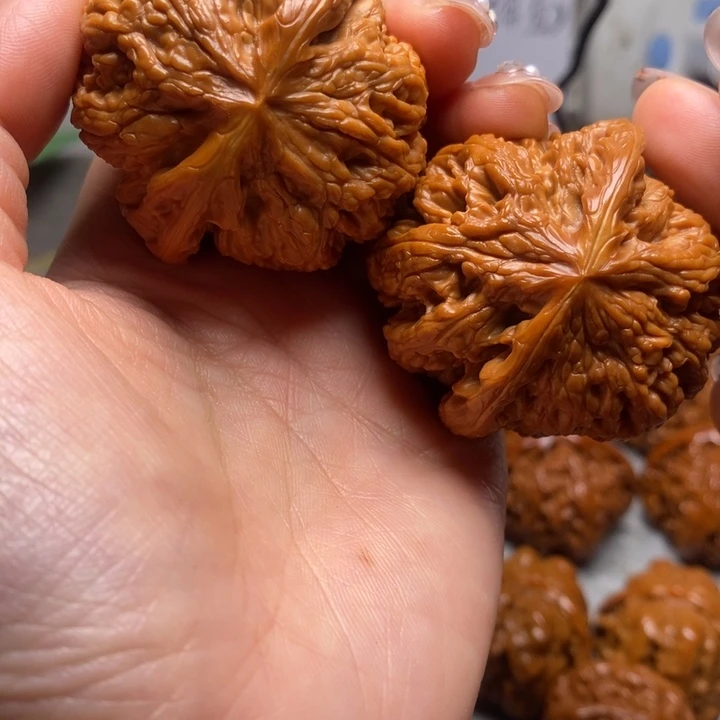 花***泪大叶紫檀（黑酸枝木类）