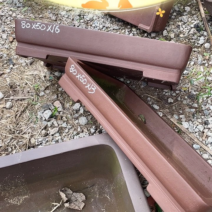 特价紫砂两只处理