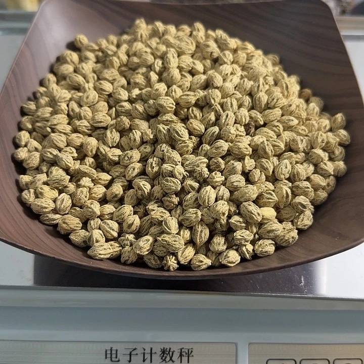 吊坠柏香籽/百香籽