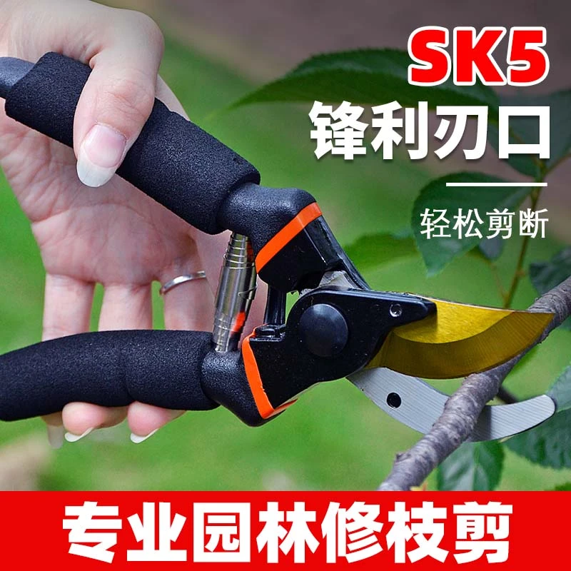 锋利剪枝剪刀省力园林花艺剪多功能果树修剪专用粗大枝剪园艺工具