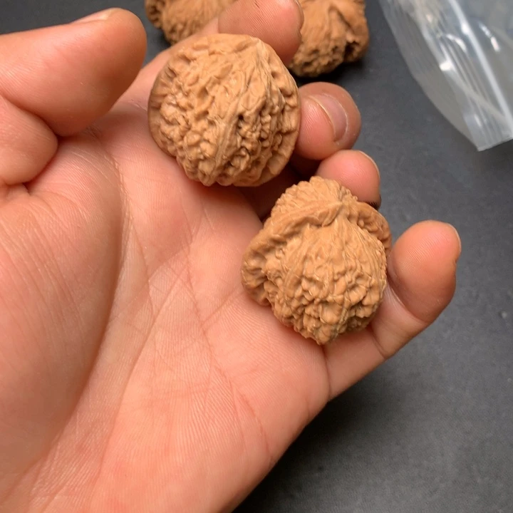 把件文玩核桃34白狮子17
