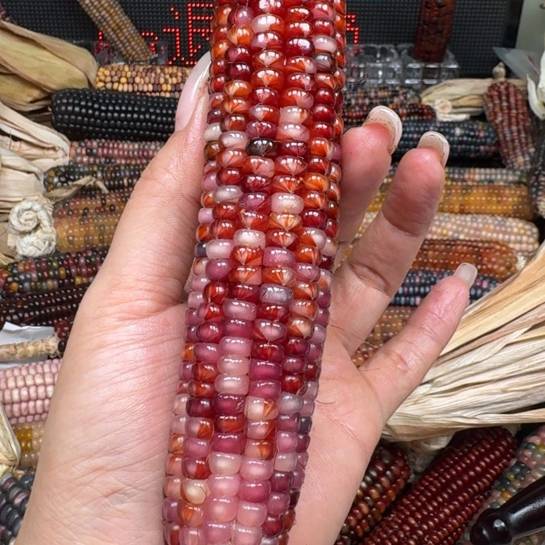 柏香籽/百香籽吊坠米*