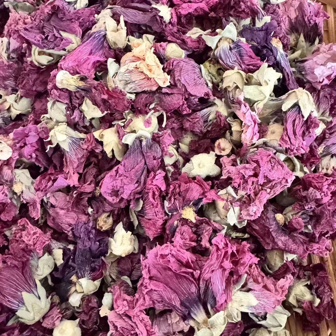 云南优选好物【菲菲】紫雪连参