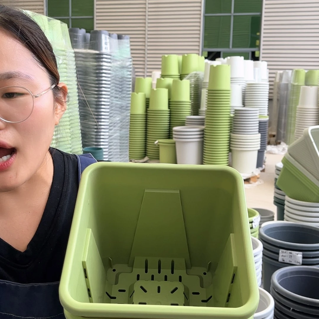 方盆F22果绿色5个无托