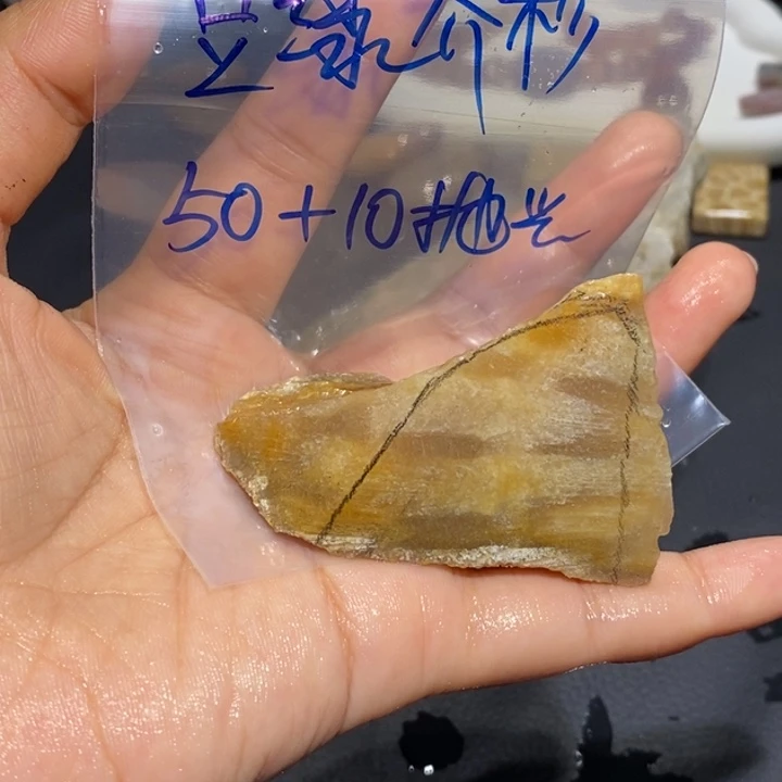 【闪购商品】未镶嵌珊瑚玉硅化玉豆**杉