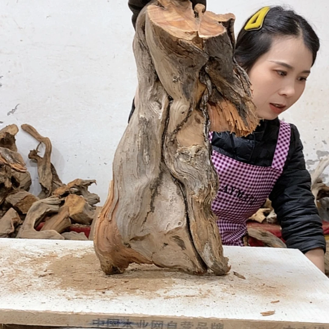 【闪购商品】柏木乔*我们都是好孩子