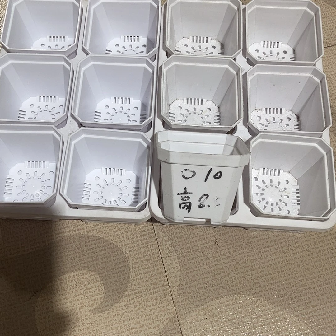 加厚斜角口10高8.5白盆12个盆带2个拖架