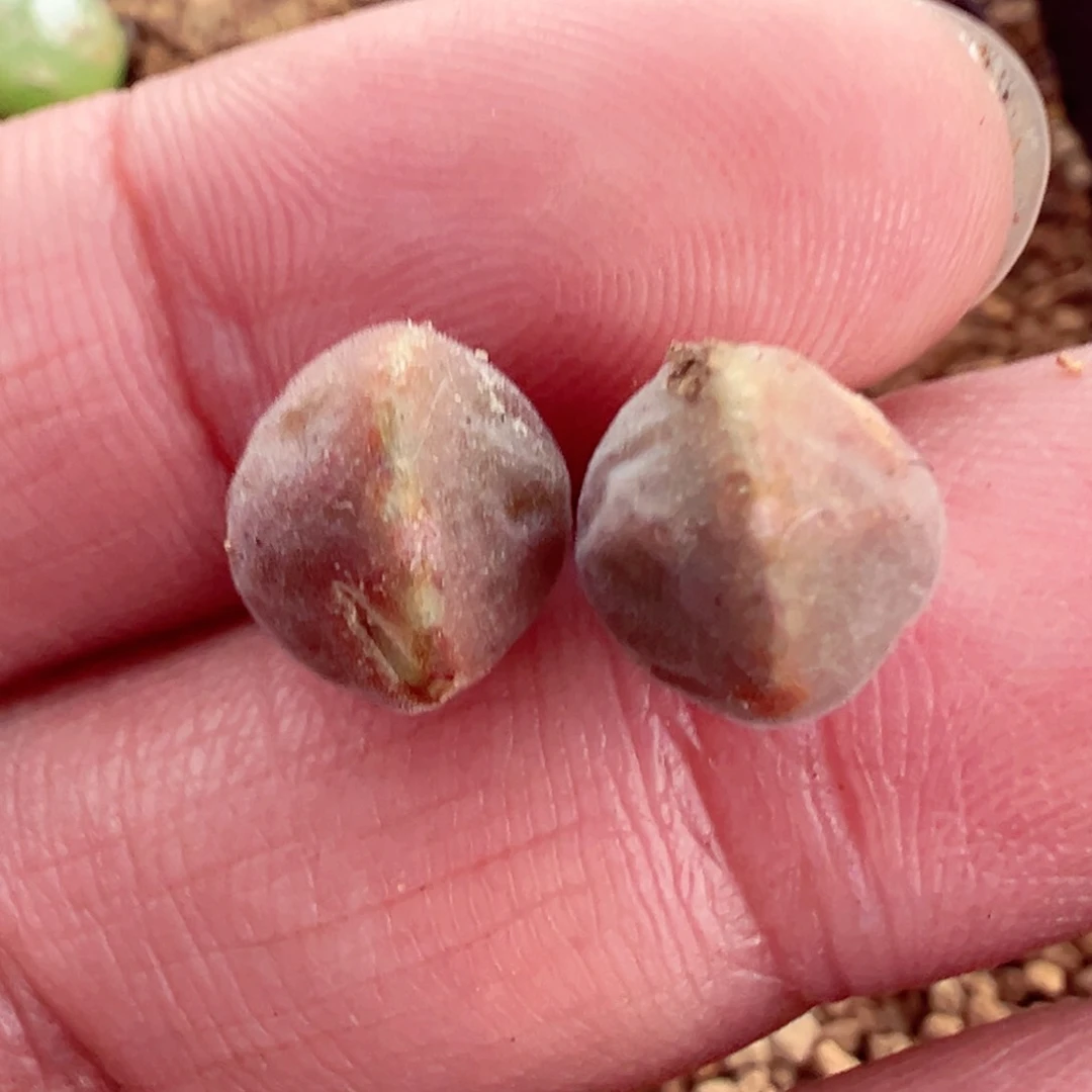 过*307-625.我的小伙伴