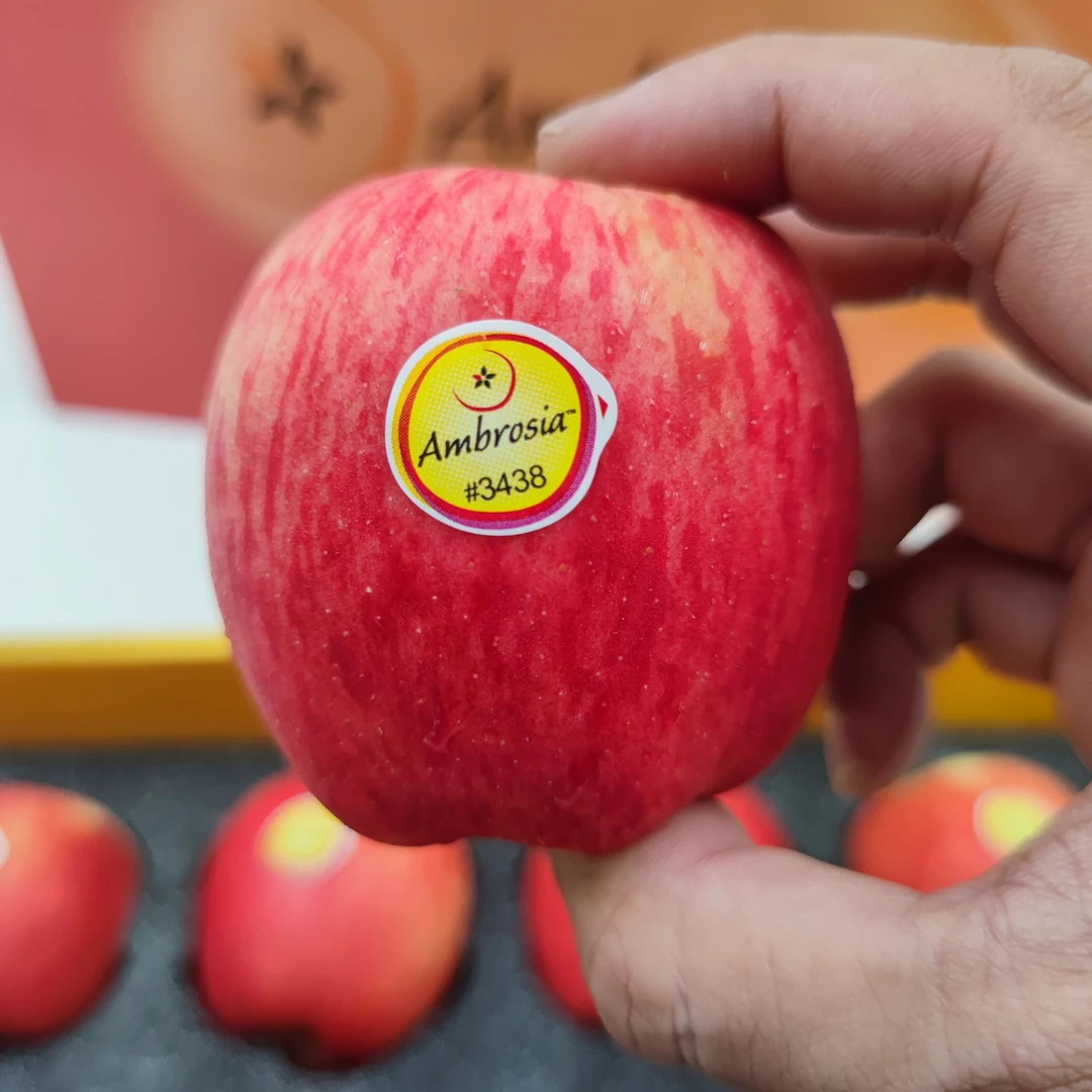 智利神仙果安波亚进口当季新鲜苹果酸甜多汁水果礼盒送礼脆甜