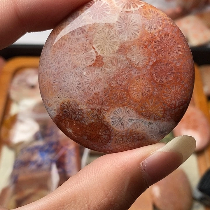 硅化玉颈饰未镶嵌云*