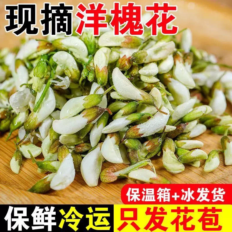洋槐花花骨朵野生2025新鲜野菜春季杨槐树花新鲜必备