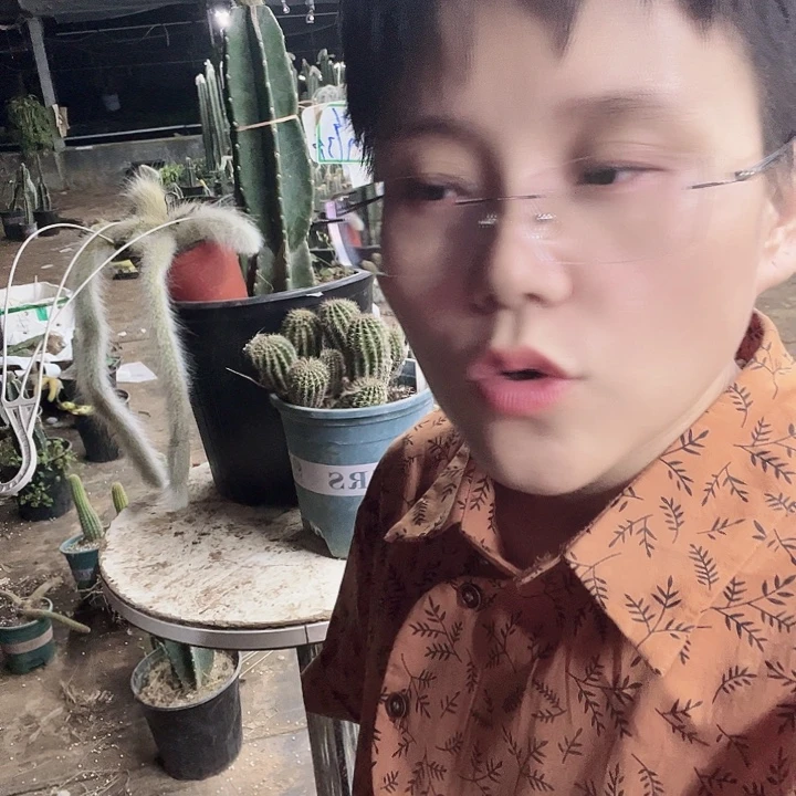 2246拖土发货无售后不支持退货退款