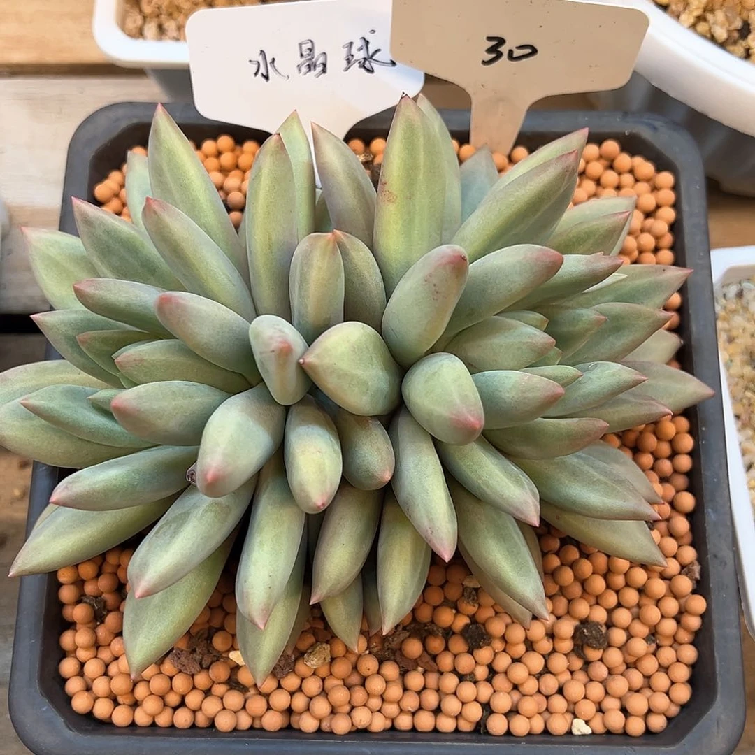 自****由30（f j k v d h j b h b