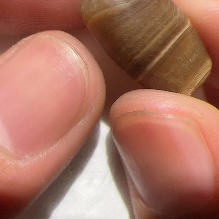 在这里的时候就是