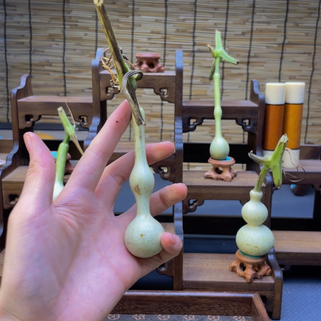 爱***乐大叶紫檀（黑酸枝木类）