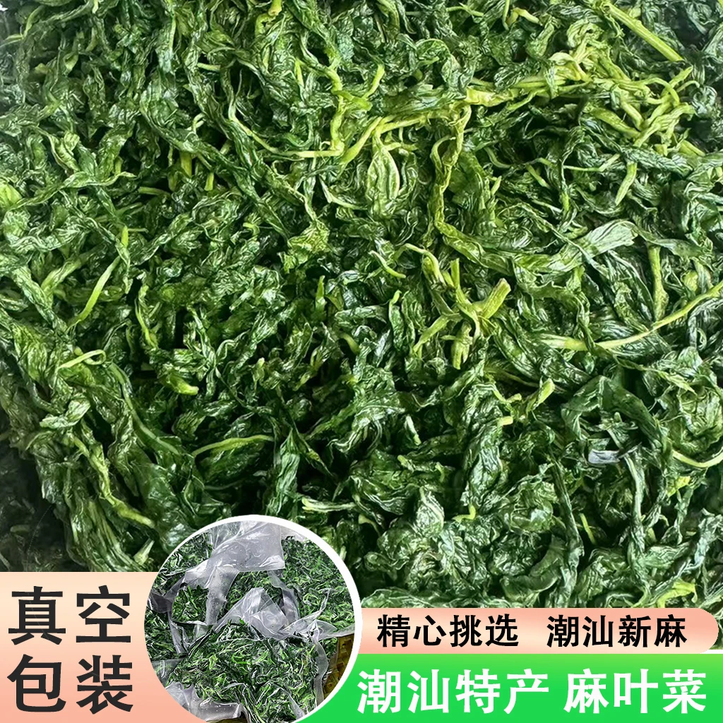 【麻叶】潮汕打冷麻叶（新麻）