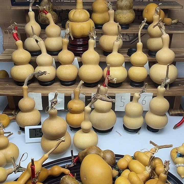 h***g啦啦啦啦啦啦啦啦啦啦