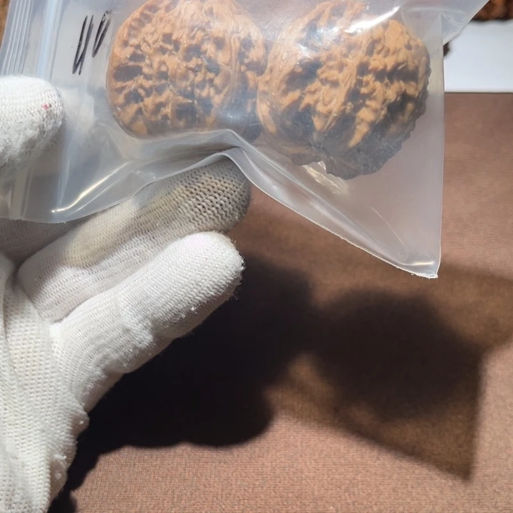怪***本精品白狮子三角白