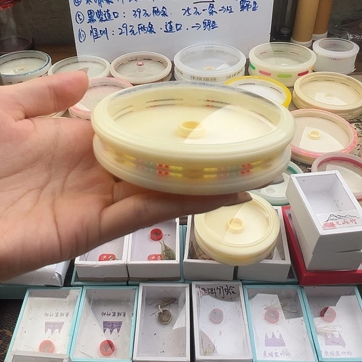 张叽叽双窗万体一个
